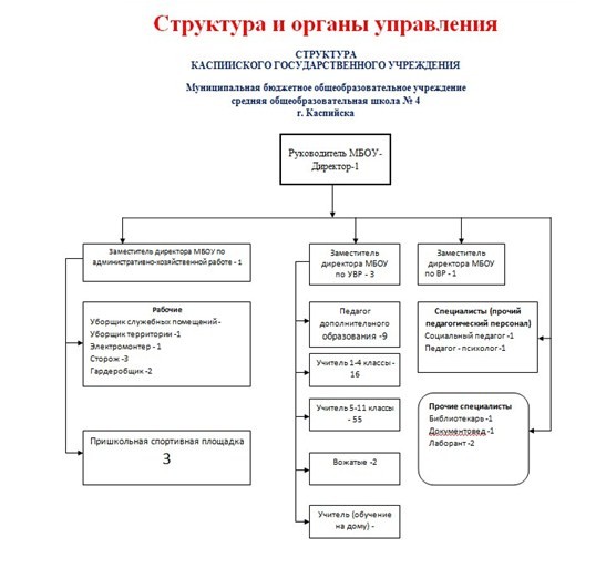 Структура и органы  управления.